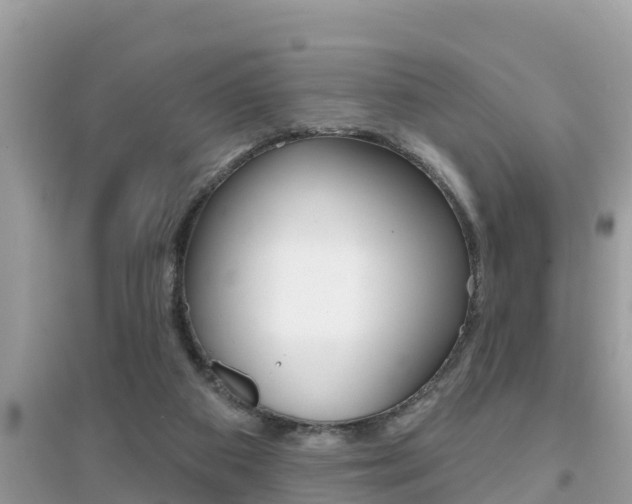 X0000095110113200712070928
