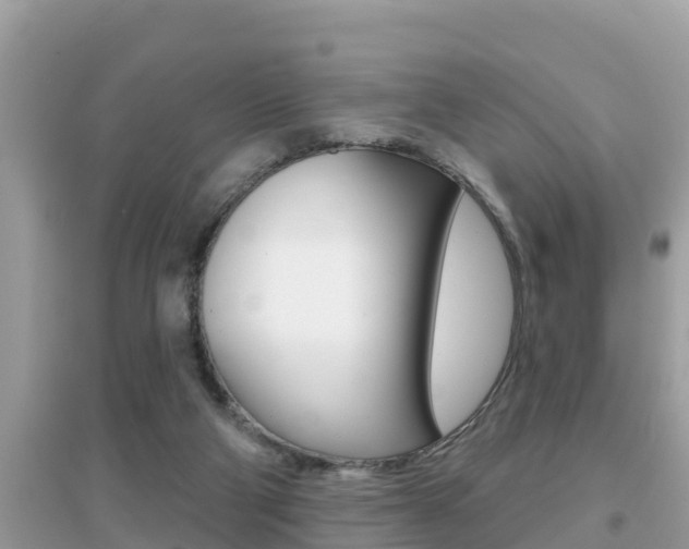 X0000095110114200712070928