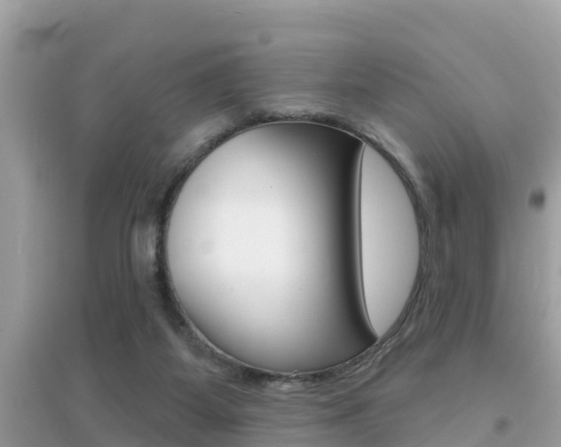 X0000095110115200712070928
