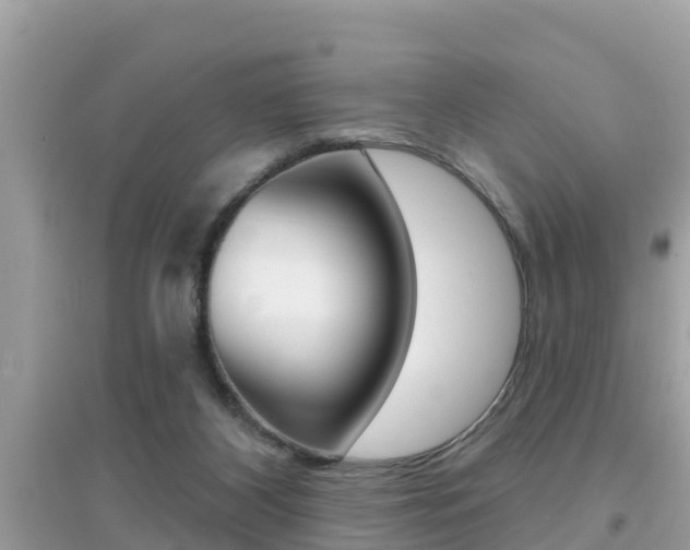 X0000095110116200712070928