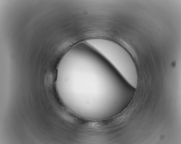 X0000095110117200712070928