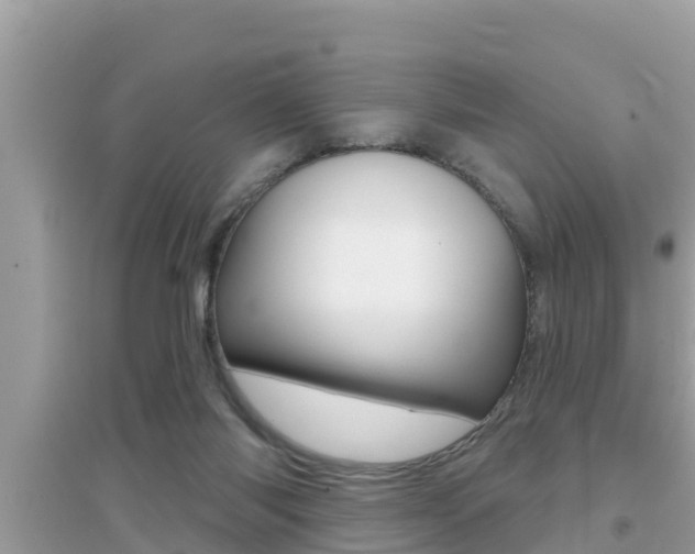 X0000095110118200712070928