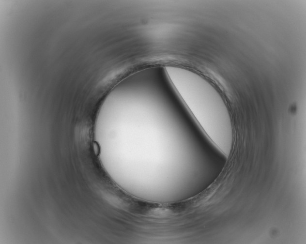 X0000095110119200712070928
