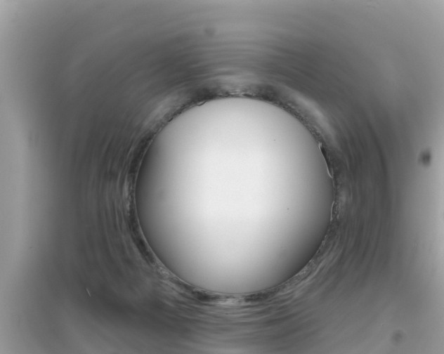 X0000095110121200712070928