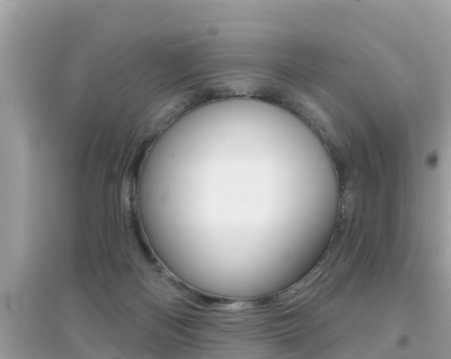 X0000095110122200712070928
