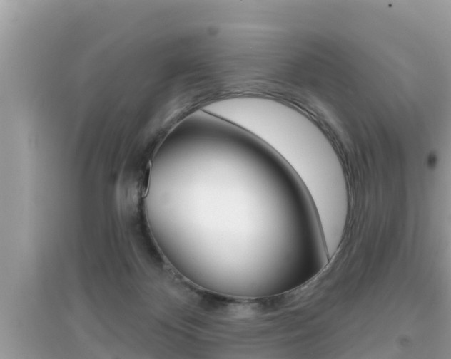 X0000095110124200712070928