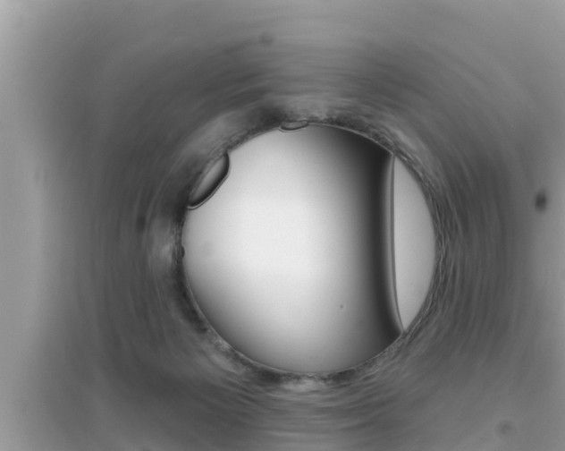X0000095110125200712070928