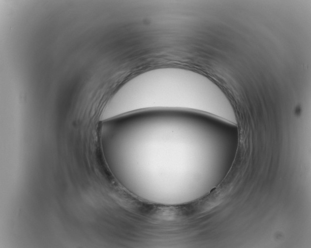 X0000095110127200712070928