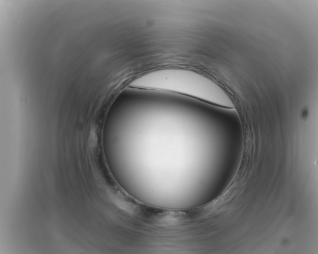 X0000095110128200712070928