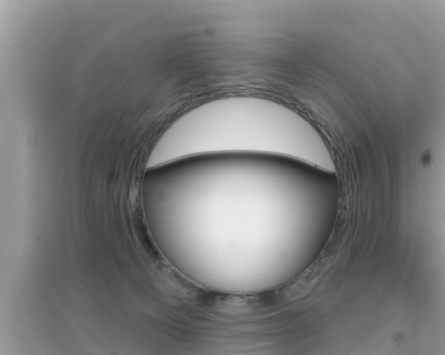 X0000095110129200712070928