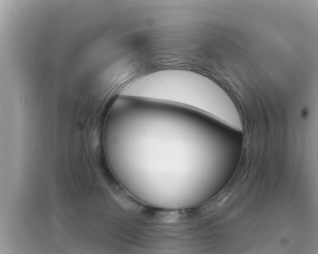 X0000095110131200712070928