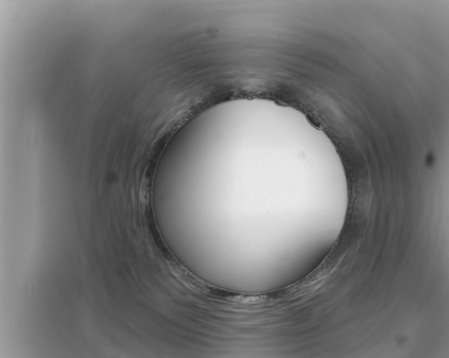 X0000095110135200712070928
