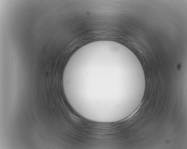 X0000095110136200712070928
