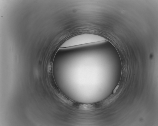 X0000095110137200712070928