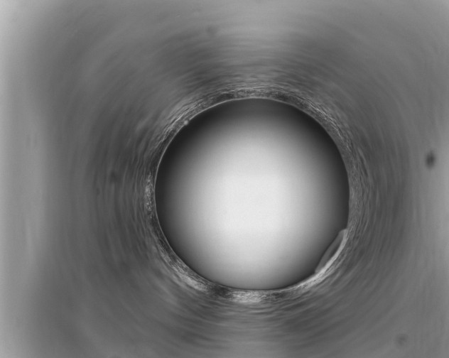 X0000095110144200712070928