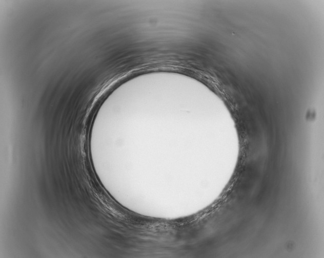 X0000095110146200712070927