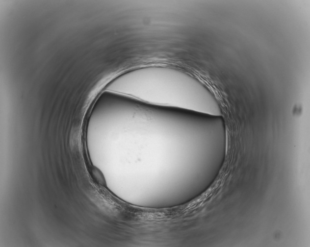 X0000095110147200712070927