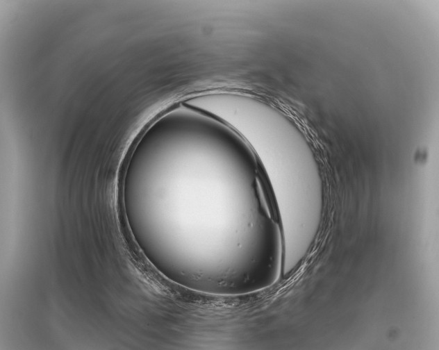 X0000095110148200712070927