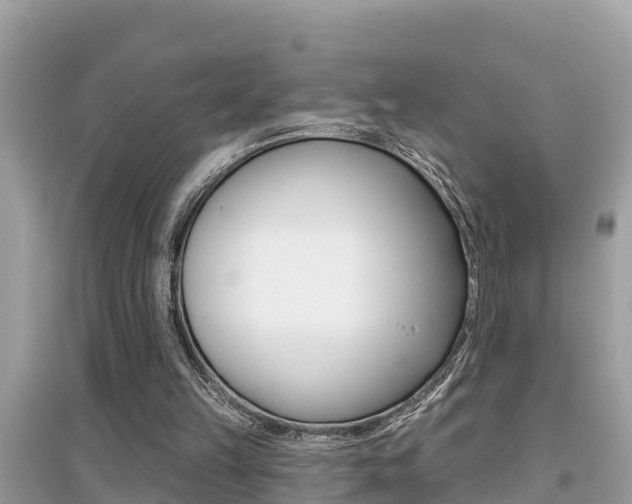 X0000095110149200712070927