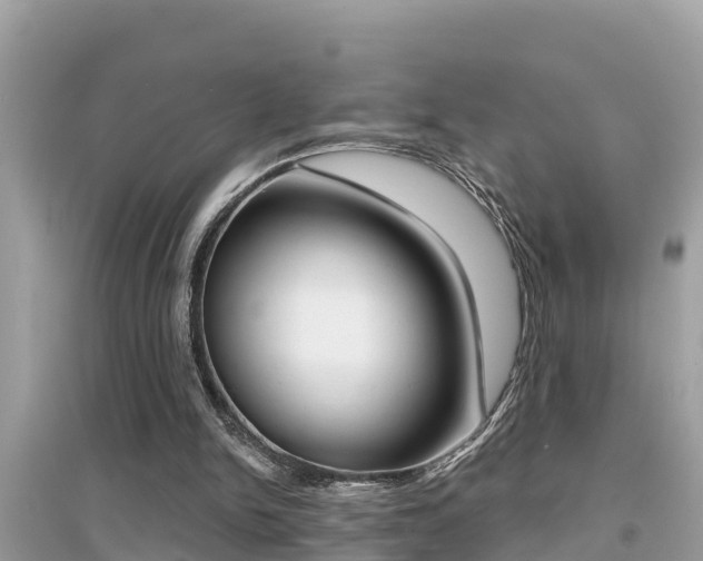 X0000095110150200712070927