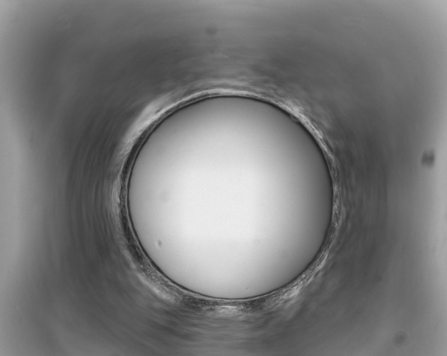 X0000095110151200712070927