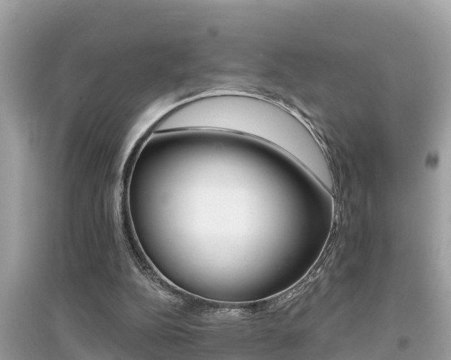 X0000095110152200712070927