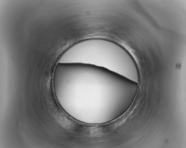 X0000095110153200712070927