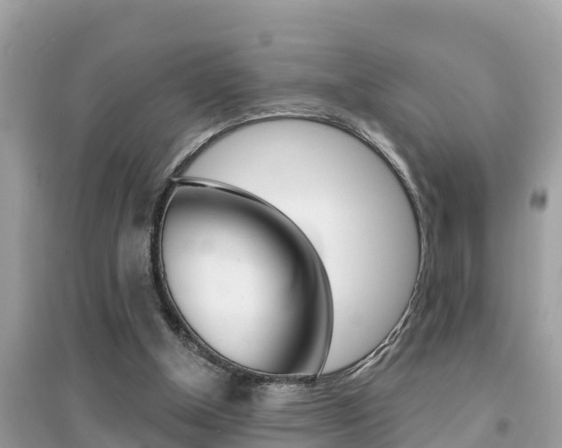 X0000095110154200712070927