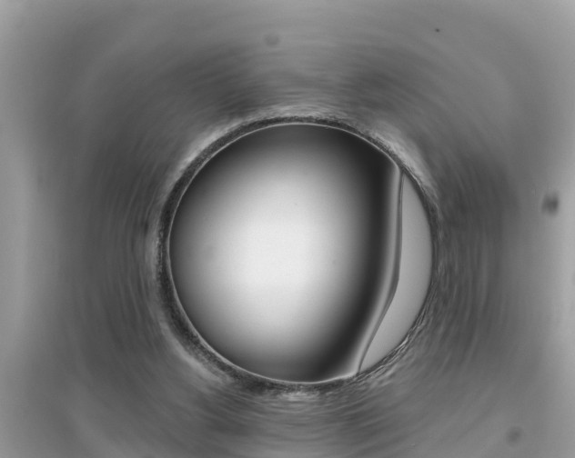 X0000095110156200712070927