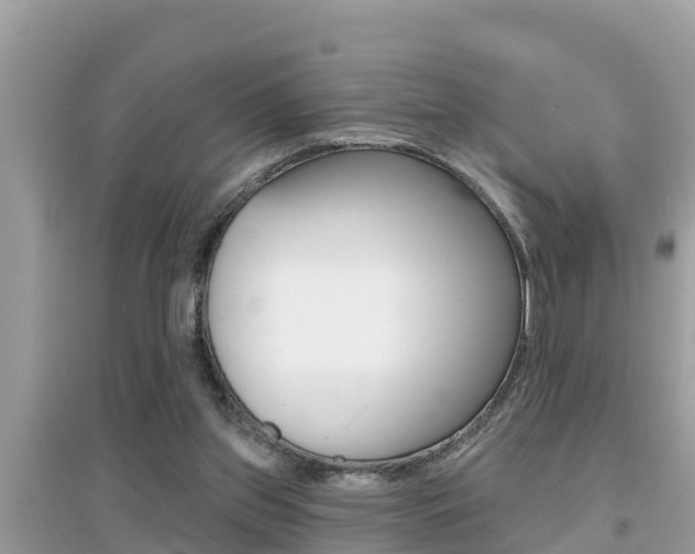X0000095110157200712070927