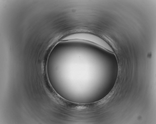 X0000095110158200712070927