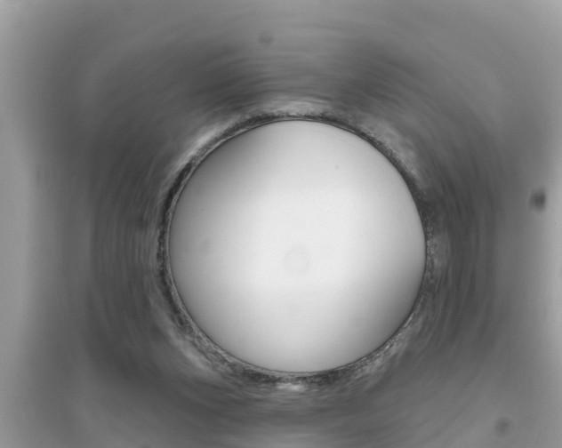 X0000095110159200712070927
