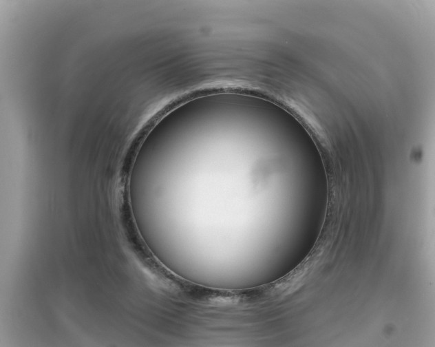 X0000095110160200712070927