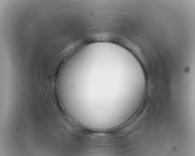 X0000095110161200712070927