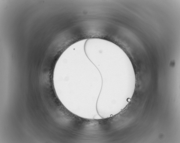 X0000095110162200712070927