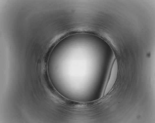 X0000095110164200712070928