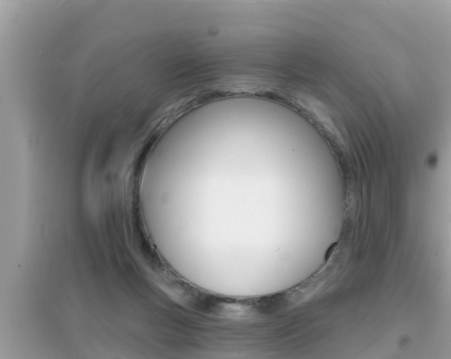 X0000095110167200712070928