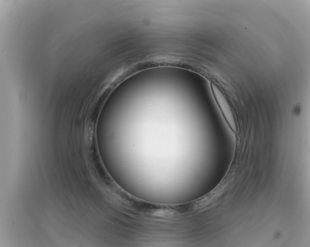 X0000095110168200712070928