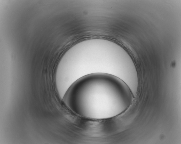 X0000095110170200712070928