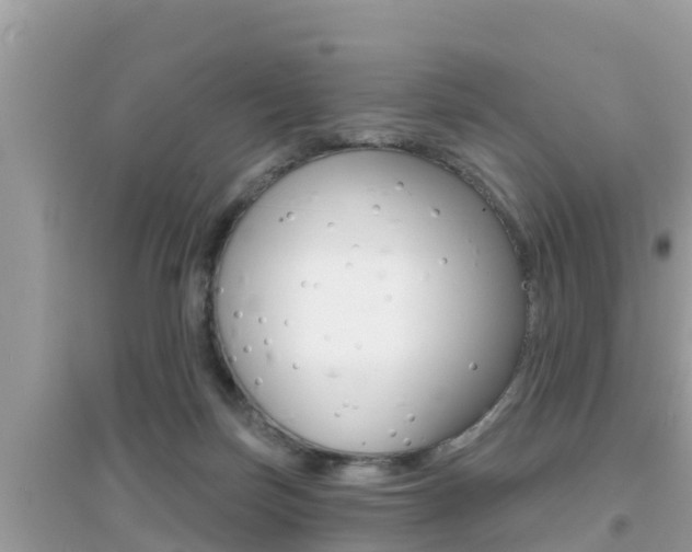 X0000095110171200712070928