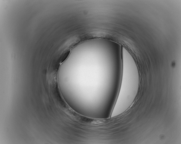 X0000095110172200712070928