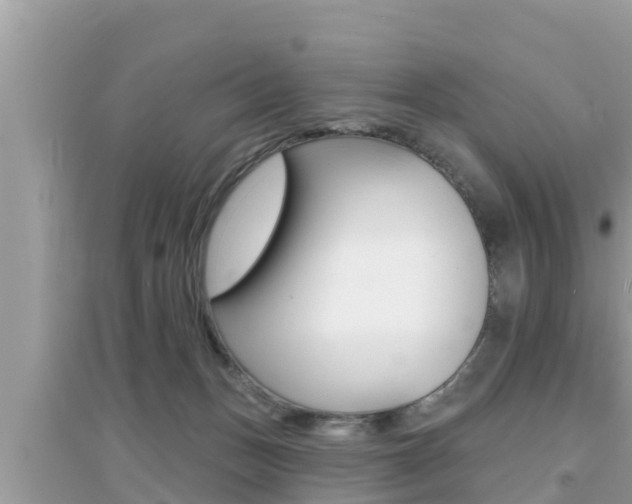 X0000095110175200712070928