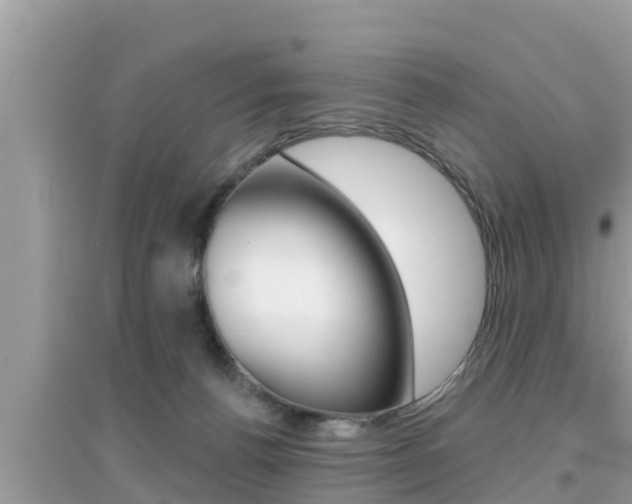 X0000095110176200712070928