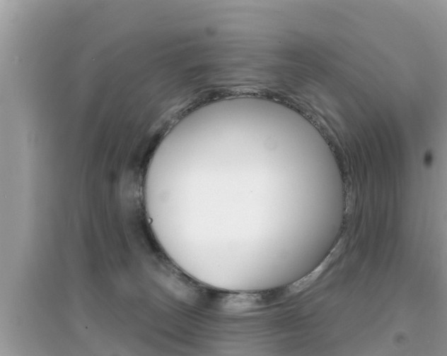X0000095110179200712070928