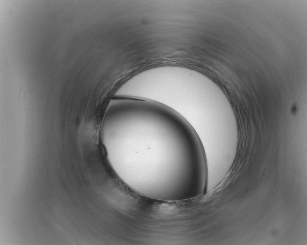 X0000095110180200712070928