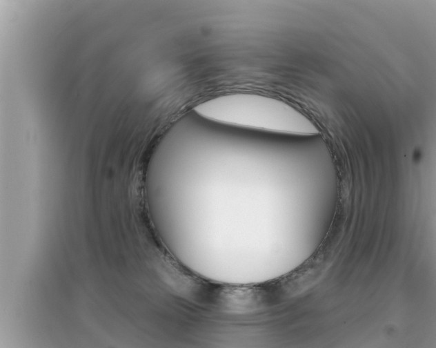 X0000095110181200712070928