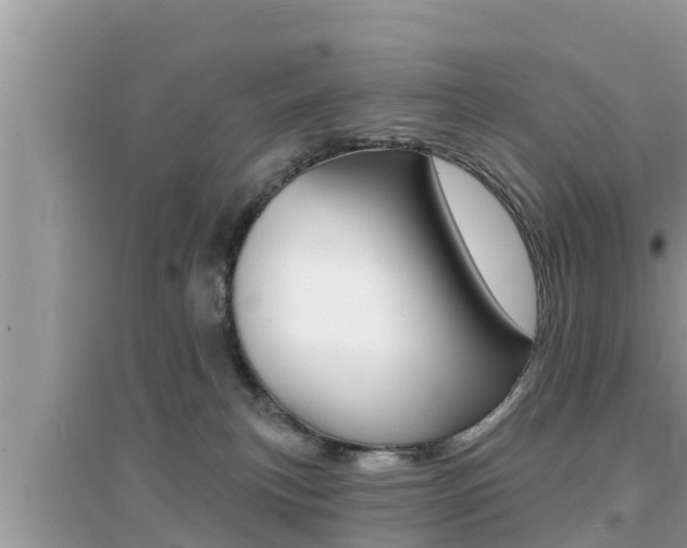 X0000095110183200712070928