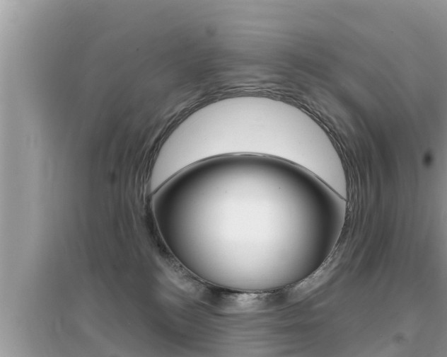 X0000095110184200712070928
