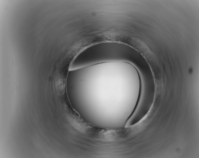 X0000095110186200712070928