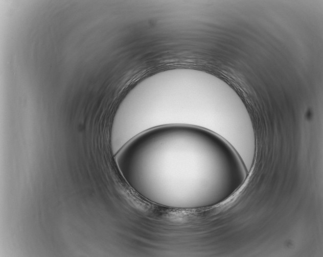 X0000095110190200712070928